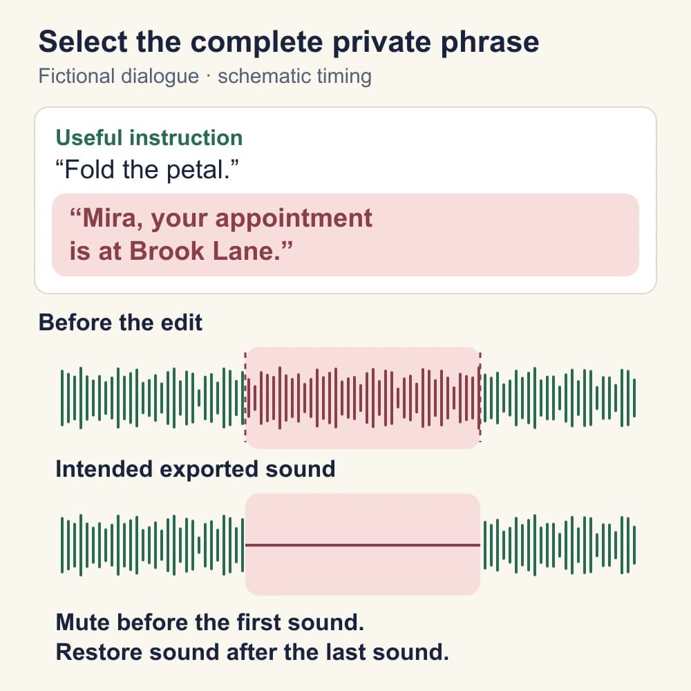 Schematic audio timeline showing a fictional private interruption after a paper-flower instruction, then the selected passage as a silent interval